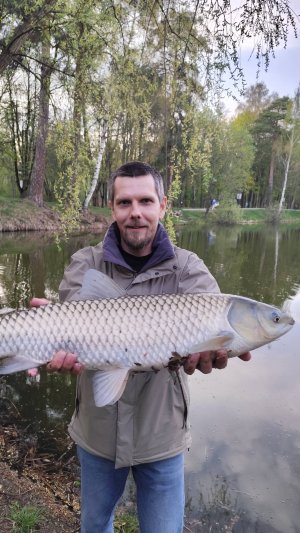 ЭТО НЕРЕАЛЬНО_Мормышинг_Гиганский белый амур !#хобби#рыбалка#fish#fishing#природа#отдых#рыба