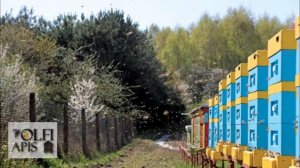 27.02.20 г. Z-рация, канал "Творческое пчеловодство" Малыхин В.Е., Апитерапия + другие вопросы !!!