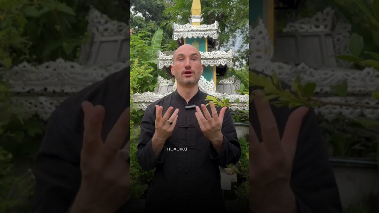 На что похожа медитация смотреть онлайн