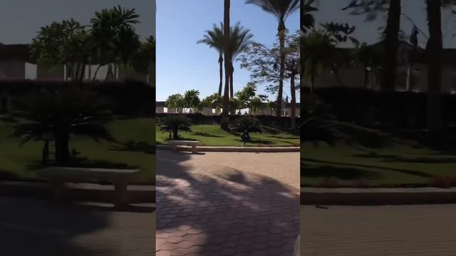 Египет Iberotel Palace 5* смотреть онлайн