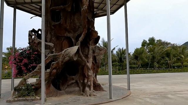 Diamond Bay Condotel Нячанг 2017 смотреть онлайн