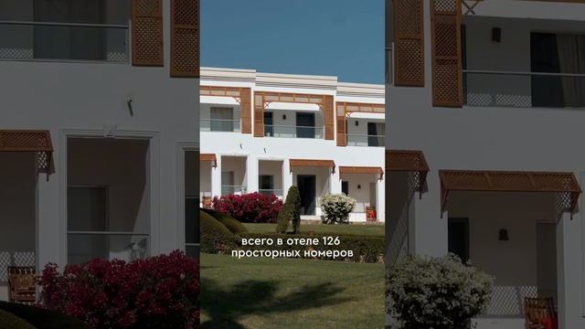 Обзор отеля Club Reef Resort 4* #отпуск #обзоротеля #библиоглобусегипет смотреть онлайн