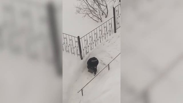 Мурманская бабушка столкнулась с тяжёлым препятствием смотреть онлайн