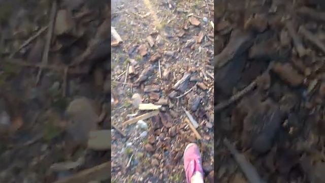 Путешествие по Белоруссии(6) смотреть онлайн