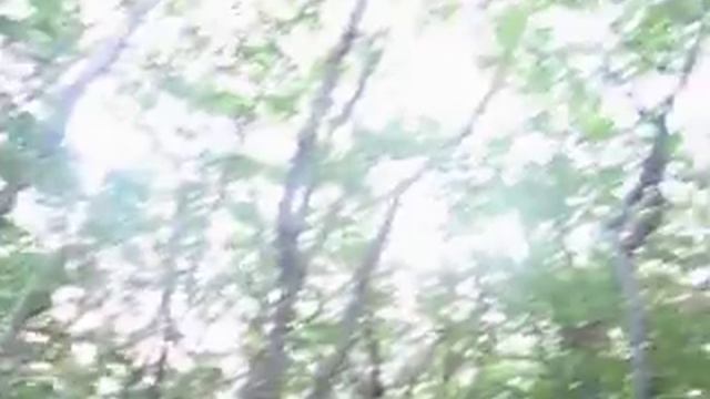 Отдых на роднике смотреть онлайн