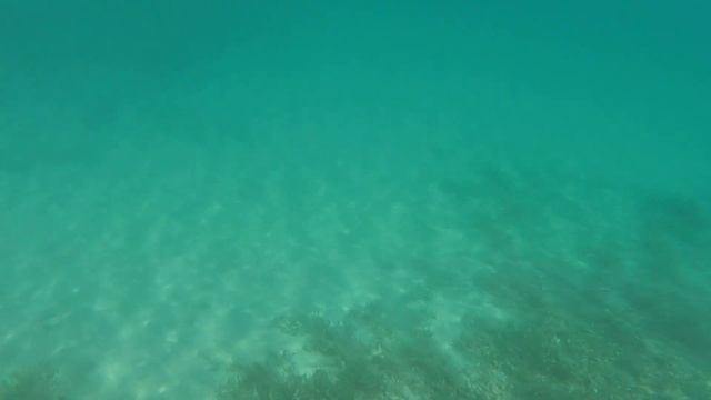 Palm Beach Resort Hurghada. Плывем дальше смотреть онлайн
