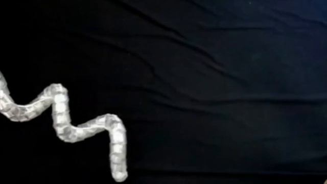 Laura Blumenschein: Soft Robotics and Haptics смотреть онлайн