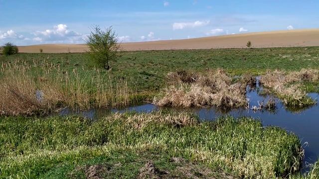 Устилуг, Студянка, боброва гребля смотреть онлайн