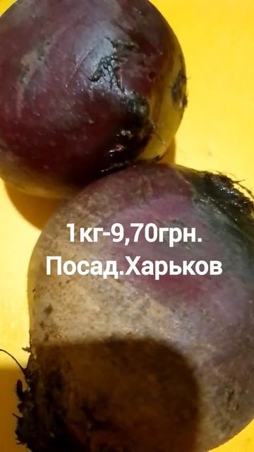 Цена на свеклу #ценывукраине #ценынаеду #ценынапродукты #продуктыпитания #productprice