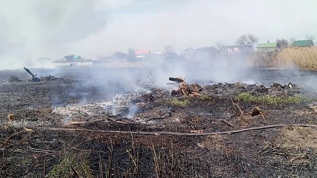 Соседка-бабка подожгла траву... Сгорело камышовое поле, огонь идет дальше..