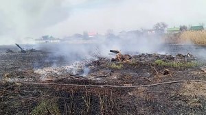 Соседка-бабка подожгла траву... Сгорело камышовое поле, огонь идет дальше..