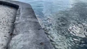 Ellaidhoo Maldives by Cinnamon 4* Отель по доступной цене для дайверов. Отель Мальдивы.