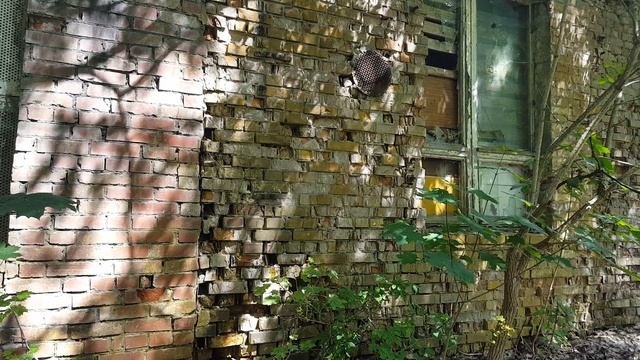 ГСВГ.Altes Lager,тыльная сторона столовой артбригады и др.в/ч 6.07.2023 смотреть онлайн