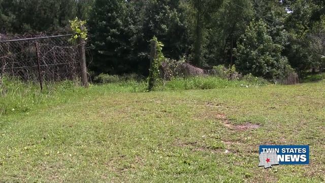 Investigation Launched After Body Found Private Pond - Jasmine Stevenson смотреть онлайн