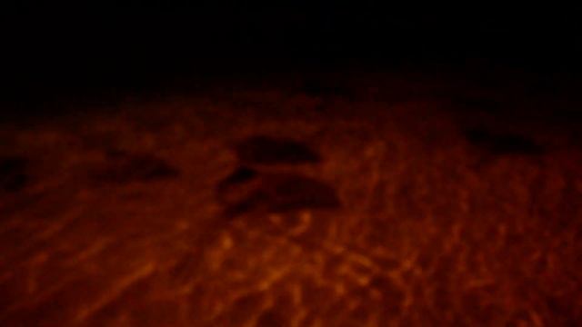 Maldives. Sun Island. Feeding stingrays - 6. / Мальдивы. Сан Айленд. Кормление скатов - 6. смотреть онлайн