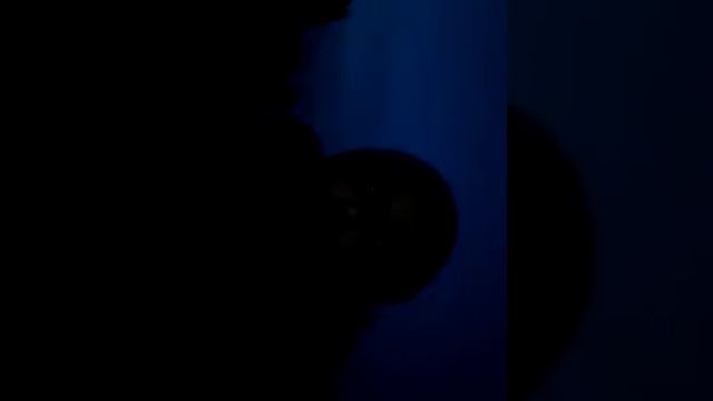 Беглые зеки смотреть онлайн