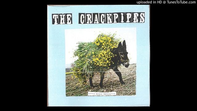 The Crack Pipes - The Spider Spins Her Web At Night смотреть онлайн