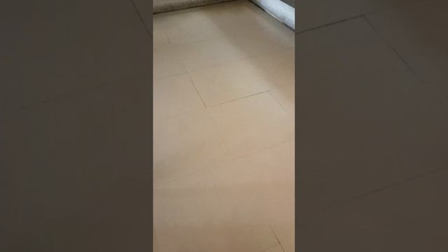 Завтрак  у отеля Phuket Graceland Resort & Spa 4* (Таиланд, Пхукет) 2022г