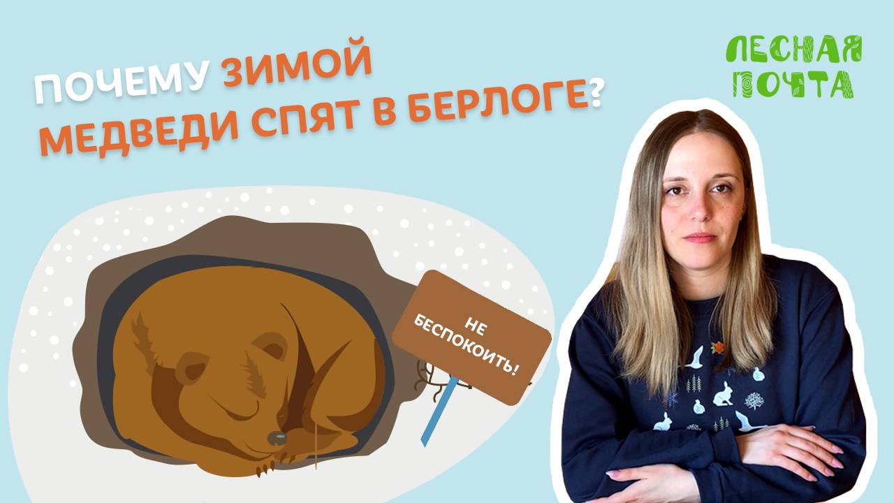Почему зимой медведи спят в берлоге? Лесная почта Лапландского заповедника смотреть онлайн