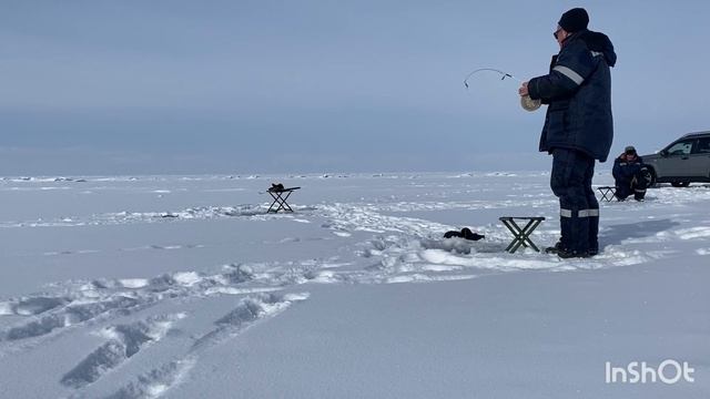 Рыбалка на омуля 2 серия 5 марта 2024 г. смотреть онлайн