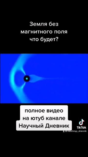 что делает магнитное поле земли?