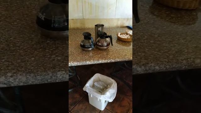 Отель Sharm Inn Amarein. Египет_7