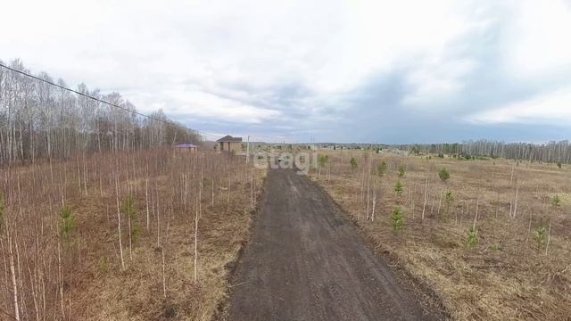 6831067 смотреть онлайн