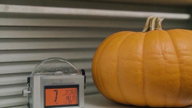 Какие сорта тыквы подходят для длительного хранения - Овощи