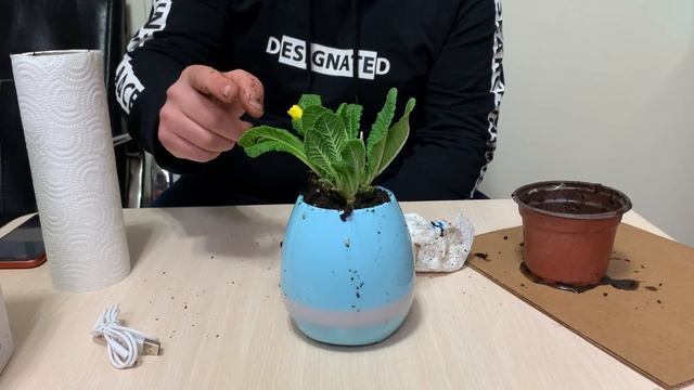 Akıllı saksı Bluetooth hoparlör смотреть онлайн