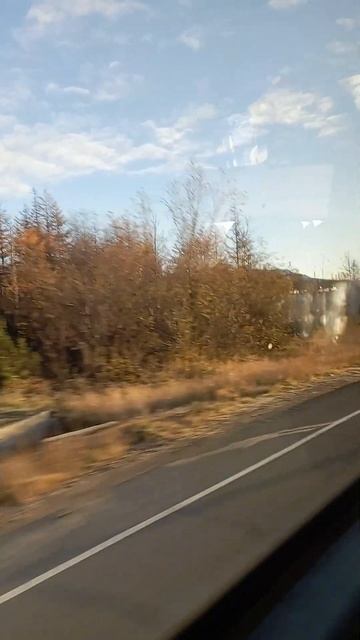 Поездка в Магадан смотреть онлайн