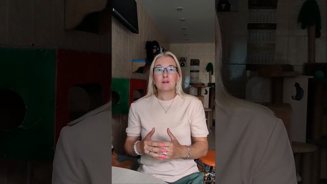 Что такое передержка? смотреть онлайн