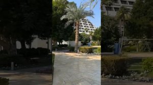 Едем в Катар. Подробный обзор Отеля Sheraton Grand Doha.Путевые заметки странствующего пенсионера.