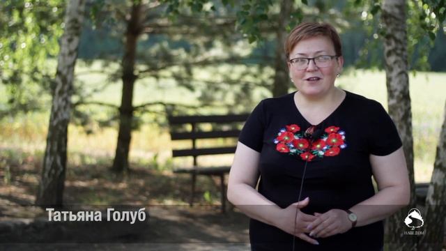 Видеонастроение 04−14.06.18 смотреть онлайн