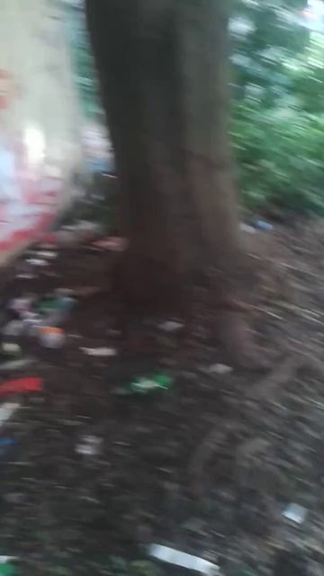 Беспорядок на астановке южное взморье смотреть онлайн