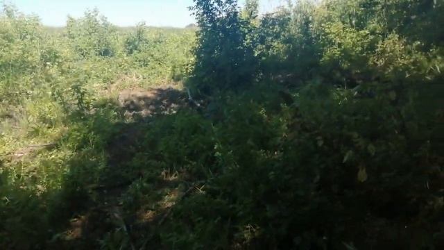 Кайфуем 2 смотреть онлайн