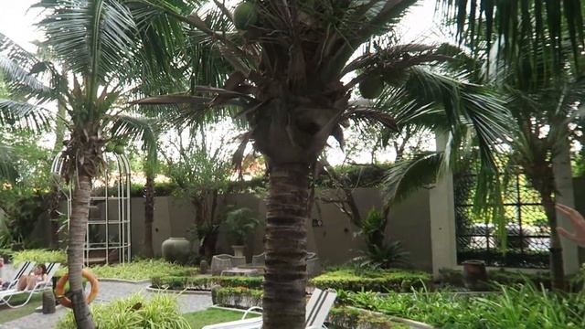 ОТДЫХ МАМЫ С РЕБЕНКОМ В ПАТТАЙЕ. ЗАКЛЮЧИТЕЛЬНЫЕ ДНИ НА ДЖОМТЬЕНЕ. ТАИЛАНД 2024 смотреть онлайн