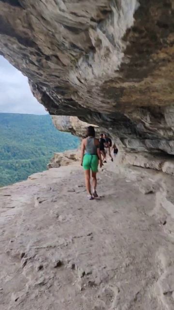 вид с Орлиной полки на горы и Мезмай #birds #animals #поход смотреть онлайн