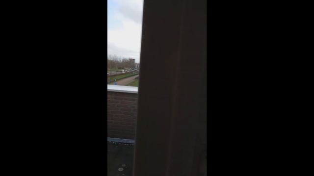 Как живут типичные голланцы дом в нидерландах смотреть онлайн