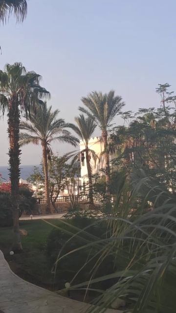 Sharm Plaza. Египет смотреть онлайн