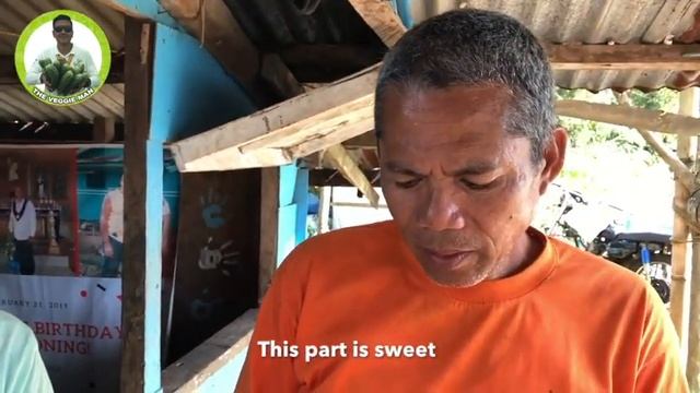 What is inside that cabbage? Taste it and feel it. смотреть онлайн