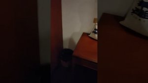 Вся правда о отеле "Гран Джомтьен Палас" Паттайя.