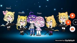 Клип "Мой котик котик"