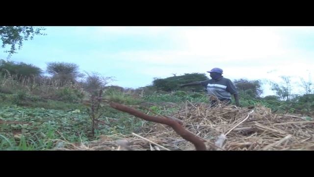 CRY AS FARMING NEAR ATHI RIVER IN MAKUENI COUNTY CAUSE HAVOC OVER POLLUTION!!