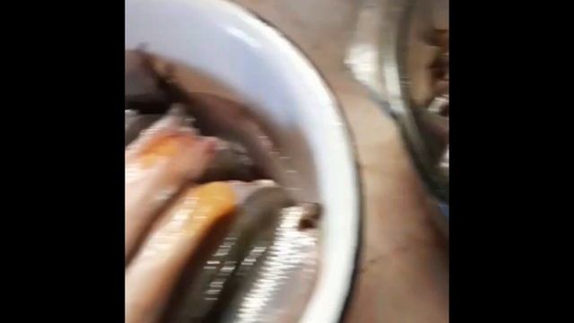 Корюшка ! смотреть онлайн