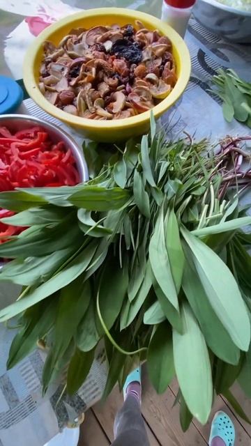 Кемпинг в Ергаках смотреть онлайн