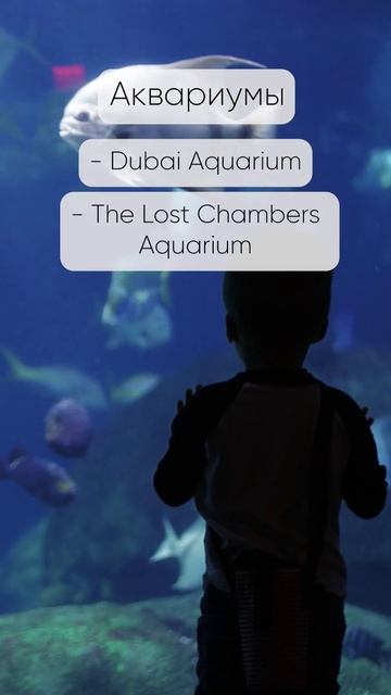 📍Дубай ЛЕТОМ. 10 оригинальных идей смотреть онлайн