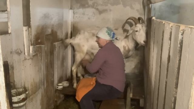 Вот сильно сомневаюсь..//Чистить или не чистить….вот в чем вопрос!// смотреть онлайн