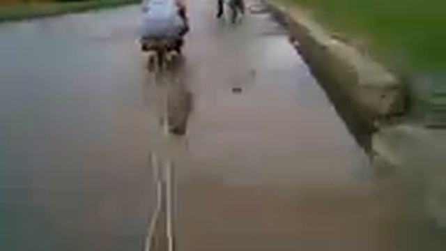 Самый тупой вид транспорта...