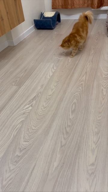 Руфик и бантик смотреть онлайн