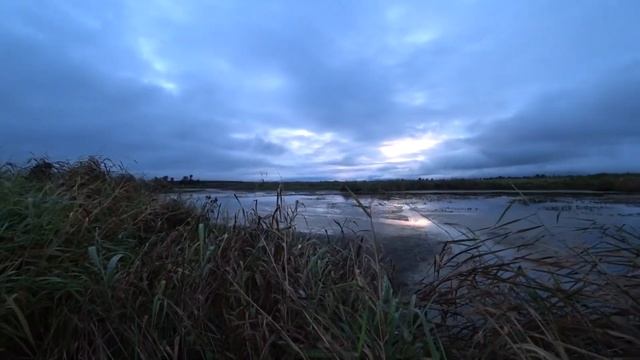 Ну и охота смотреть онлайн